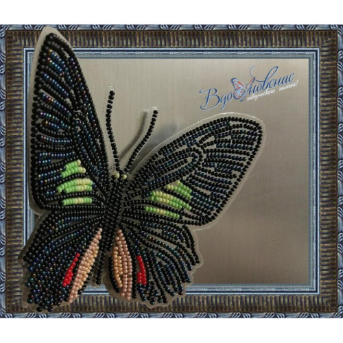Набор для вышивания "Объёмная Бабочка Parides sesostris zestos"