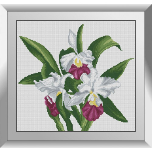 Набір алмазного живопису "Орхідея каттлея"